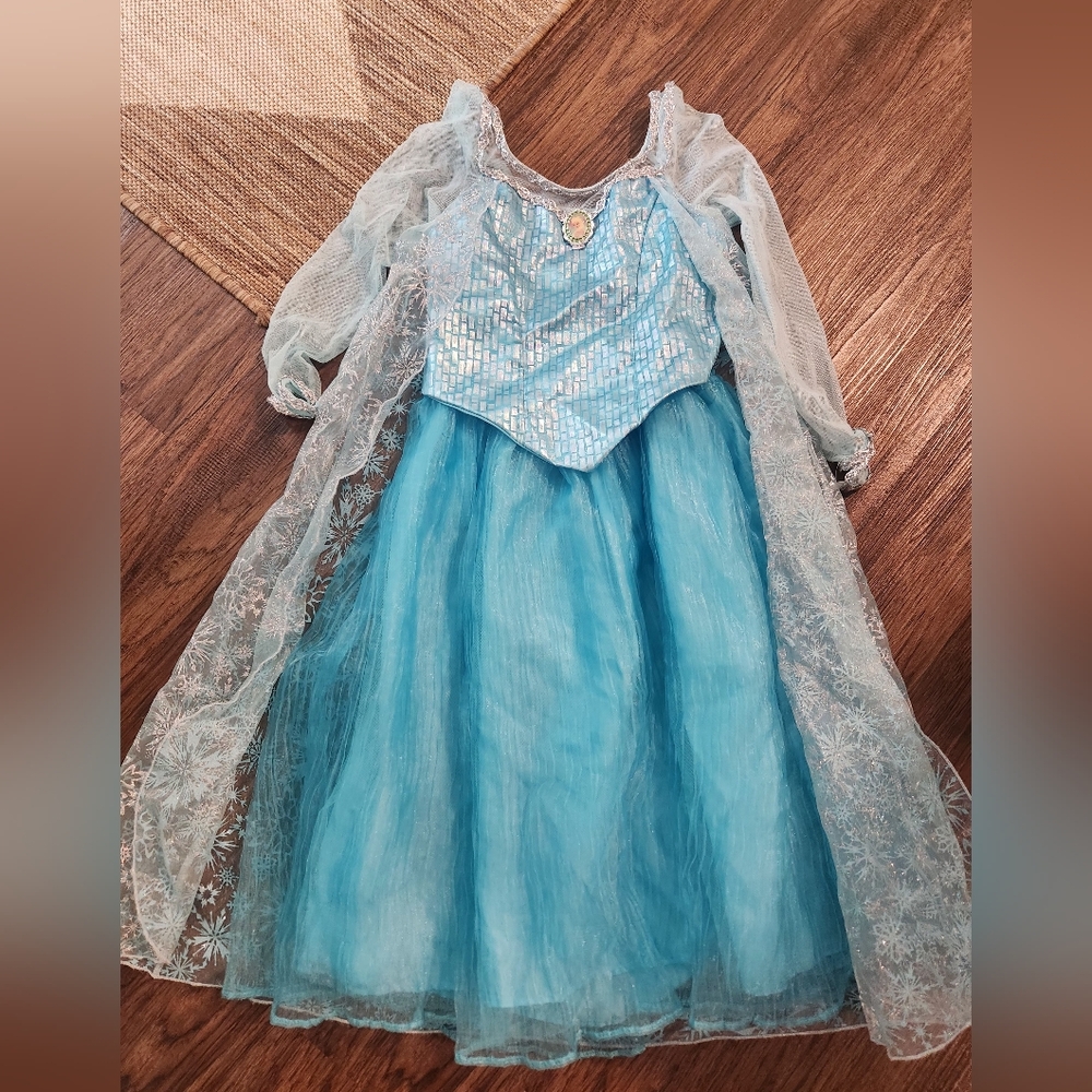 Disney Parks Elsa Dress